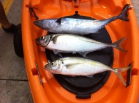 /album/fotogaleria/img-3006-jpg/