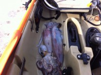 /album/fotogaleria/img-1831-jpg/