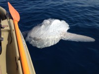 /album/fotogaleria/img-0360-jpg/